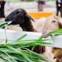 探索数字世界的无限可能 - 爱游戏